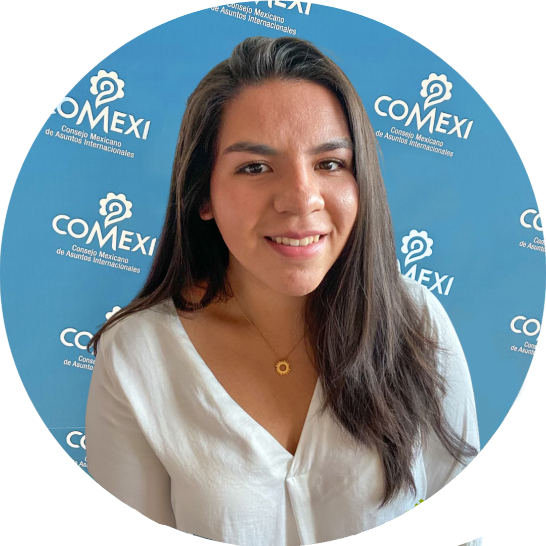 Margarita Michel Izeta