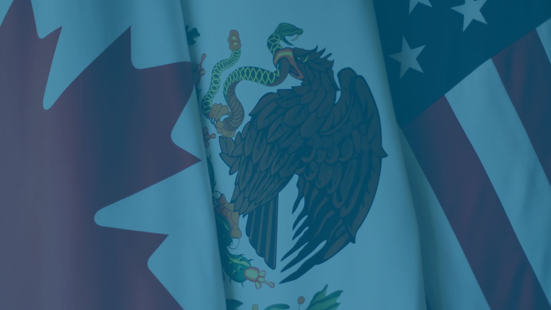 OPINIÓN FRENTE A LA REVISIÓN DEL T-MEC EN 2026