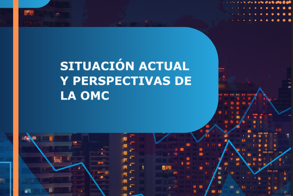 SITUACIÓN ACTUAL Y PERSPECTIVAS DE LA OMC
