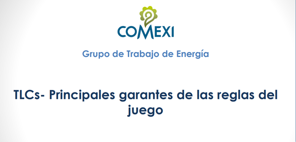 TLCS PRINCIPALES GARANTES DE LAS REGLAS DEL JUEGO
