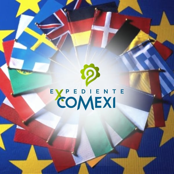 EXPEDIENTE COMEXI EUROPA